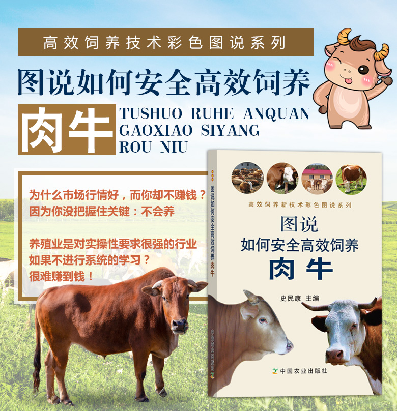 图说如何安全高效饲养肉牛 饲养管理 养牛 养殖场 20172 2015-01-30