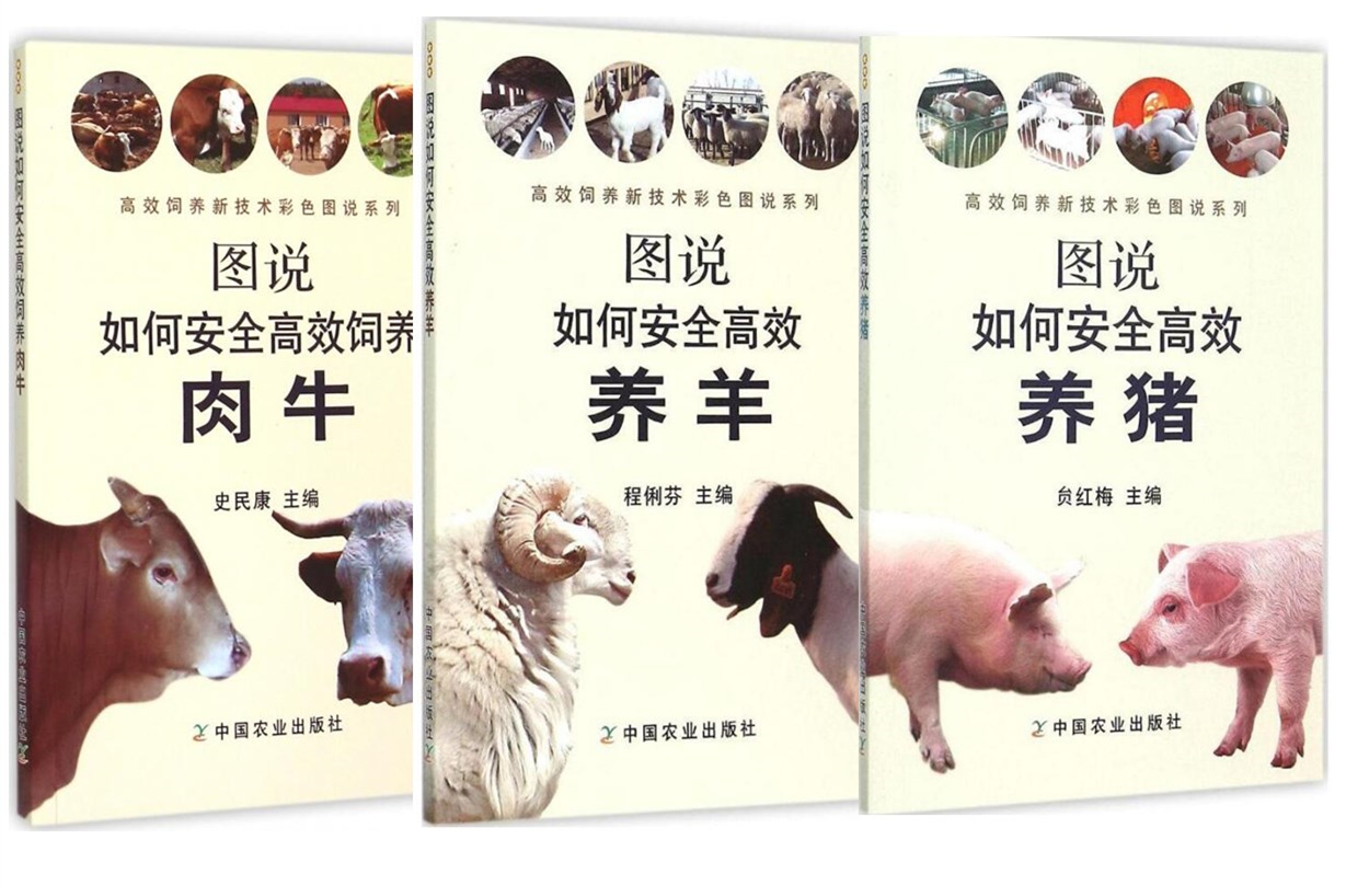 正版包邮 图说如何安全高效养肉牛 养羊 养猪 三本套装  养牛图书 养羊书籍  常见家畜饲养  养殖户的好帮手
